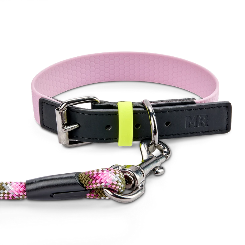 Hundehalsband mit veganem Apfelleder Altrosa