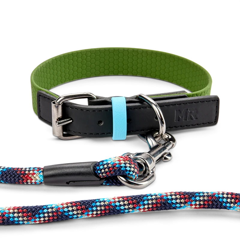 Hundehalsband mit veganem Apfelleder Khaki