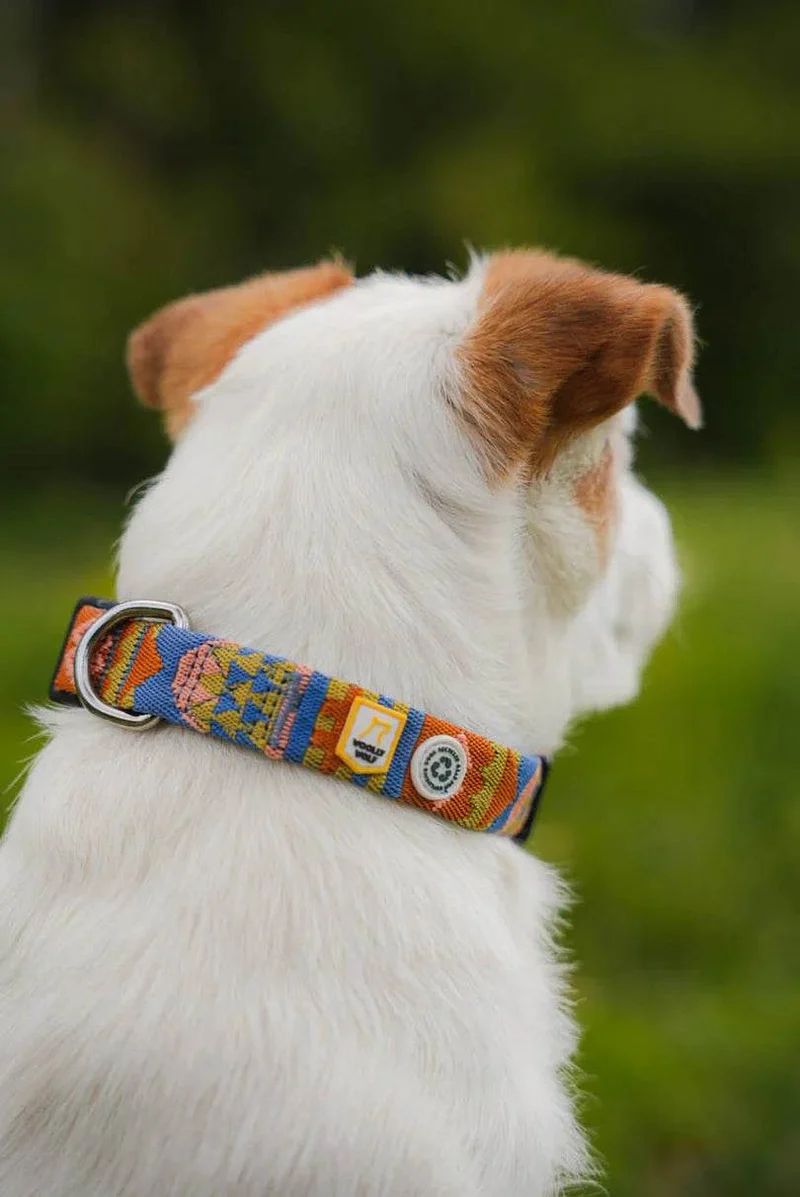 Woolly Wolf Halsband Nightless Night – nachhaltig & robust