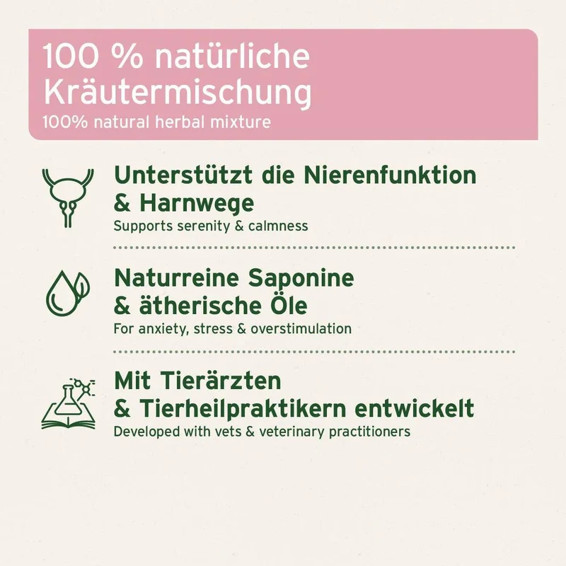 AniForte NierenVetal Pulver – Kräutermischung für Hunde