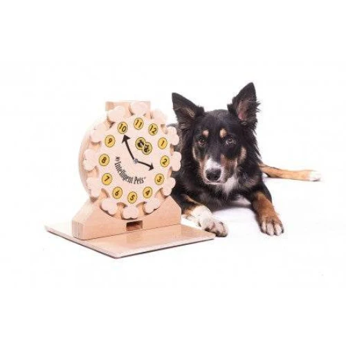 My Intelligent Dog Pet’s Clock – Intelligenzspielzeug für Hunde