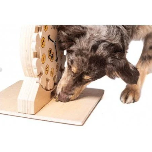 My Intelligent Dog Pet’s Clock – Intelligenzspielzeug für Hunde