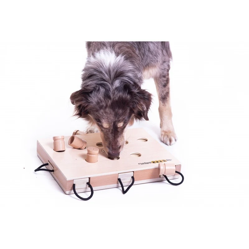 iPet Smart-Dog – Intelligenzspielzeug für Hunde