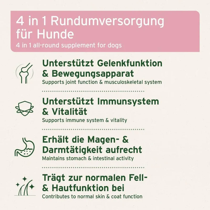 AniForte 4in1 Complete Dog – Rundumversorgung für Hunde