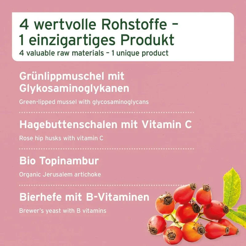 AniForte 4in1 Complete Dog – Rundumversorgung für Hunde