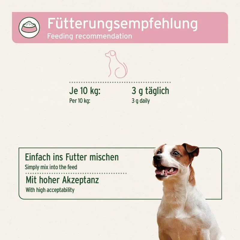 AniForte 4in1 Complete Dog – Rundumversorgung für Hunde