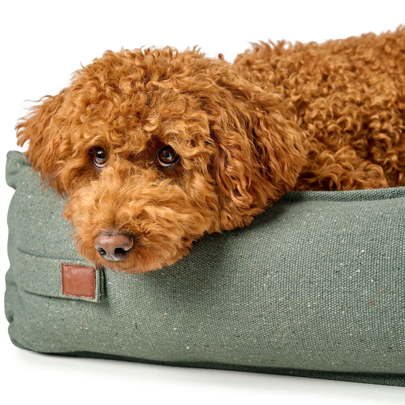 Recycling Hundesofa Belluno