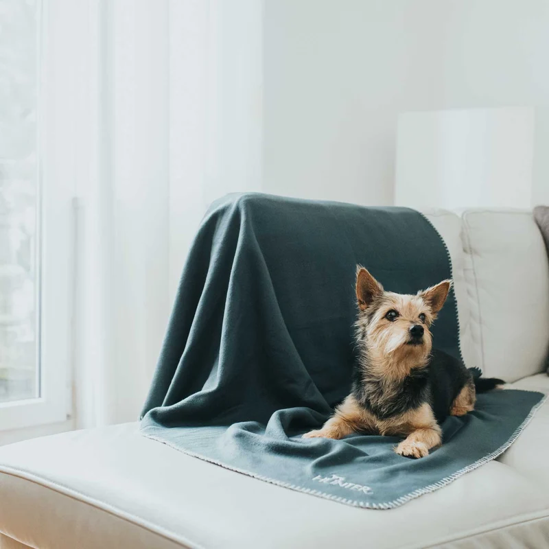 Hundedecke Casper