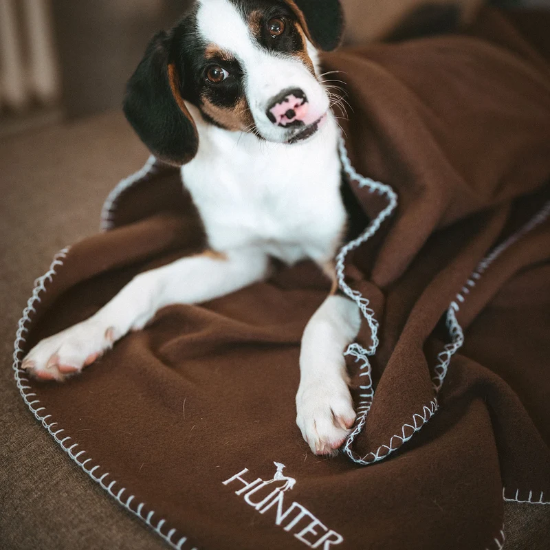 Hundedecke Casper