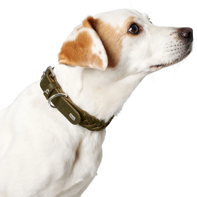 Halsband Solid Education Special