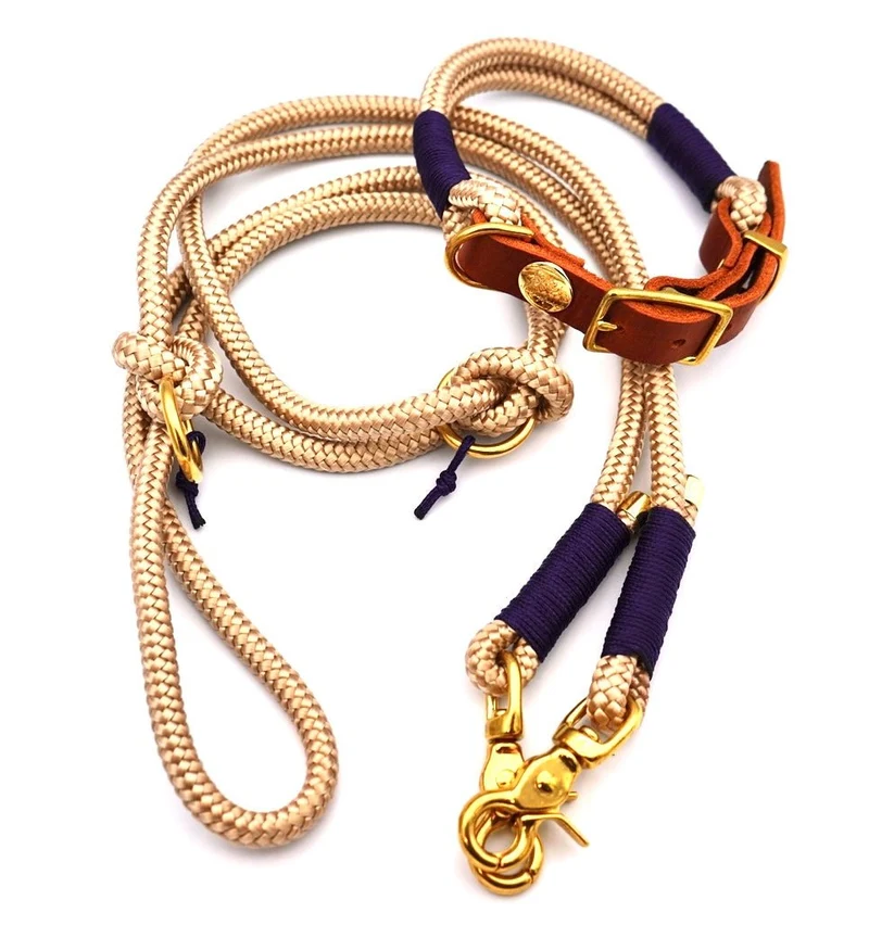 Tau-Leder-Halsband Beige Dunkelblau