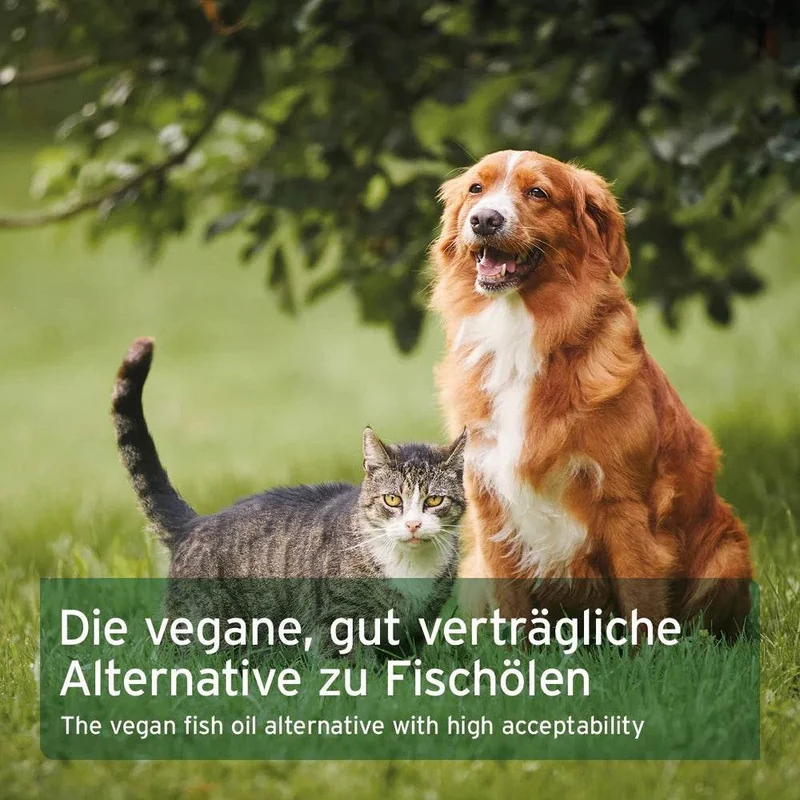 AniForte Algenöl – veganes Omega-3 für Tiere