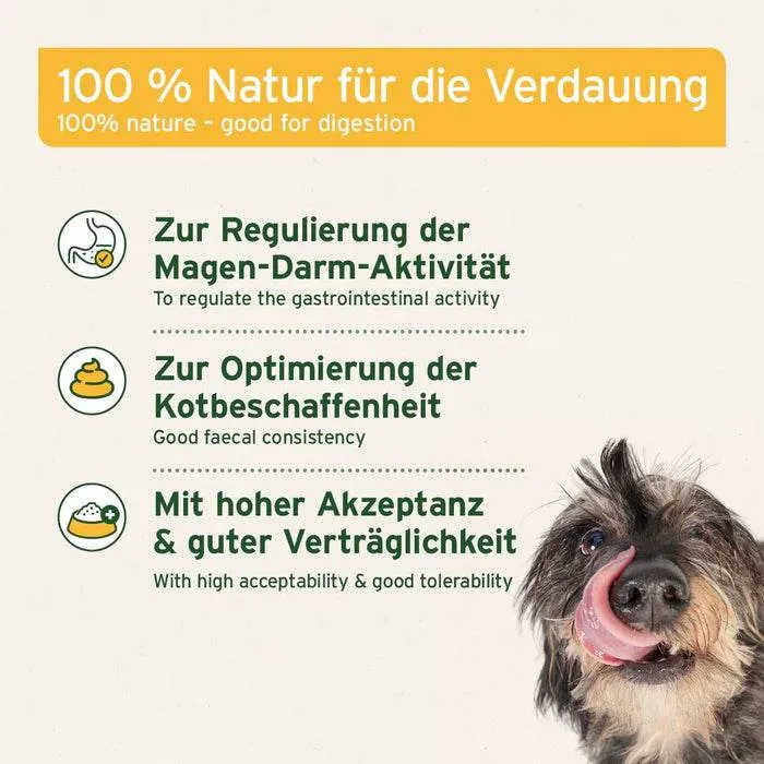 AniForte Naturmoor – Magen-Darm-Ergänzung für Hunde & Katzen