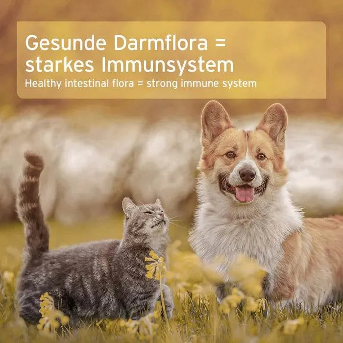 AniForte Naturmoor – Magen-Darm-Ergänzung für Hunde & Katzen