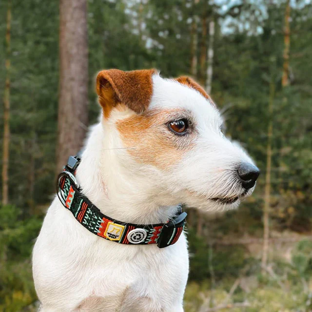 Woolly Wolf Hundehalsband Woodland – nachhaltig & robust