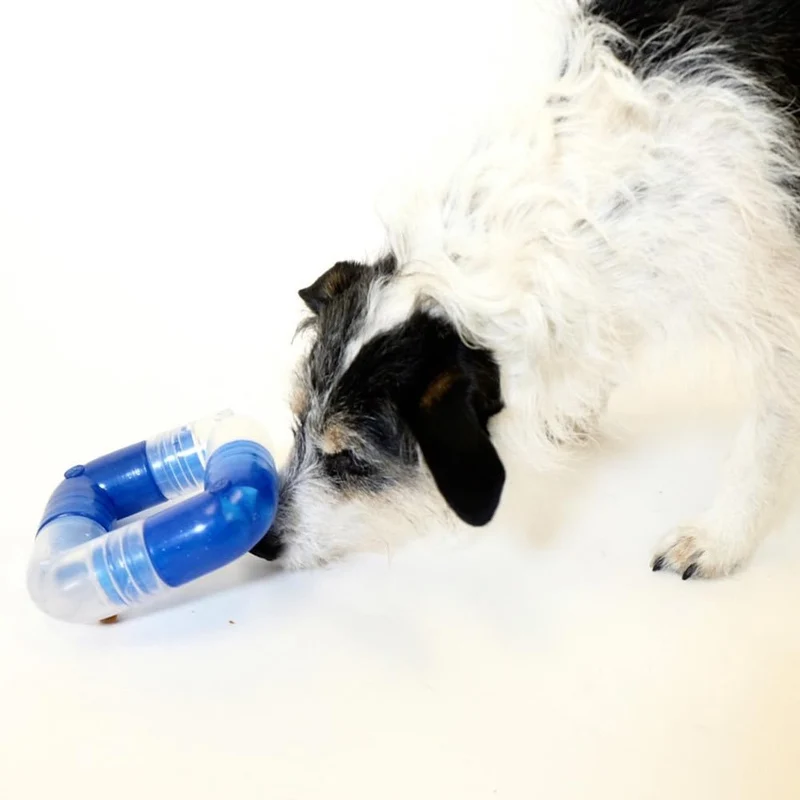 Planet Dog Orbee-Tuff Link – Intelligenzspielzeug für Hunde