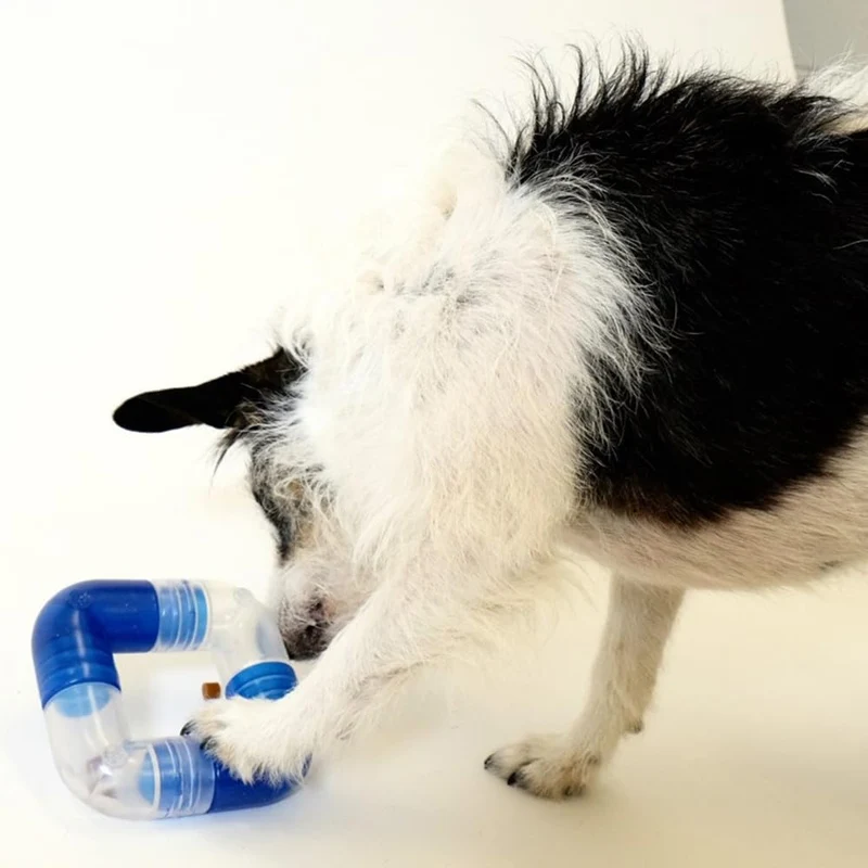 Planet Dog Orbee-Tuff Link – Intelligenzspielzeug für Hunde