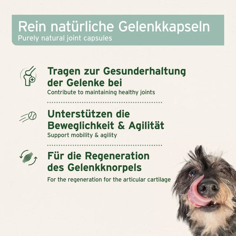 AniForte Grünlippmuschel Kapseln – Gelenkpflege für Hunde