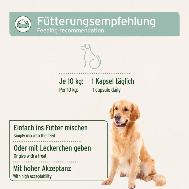 AniForte Grünlippmuschel Kapseln – Gelenkpflege für Hunde