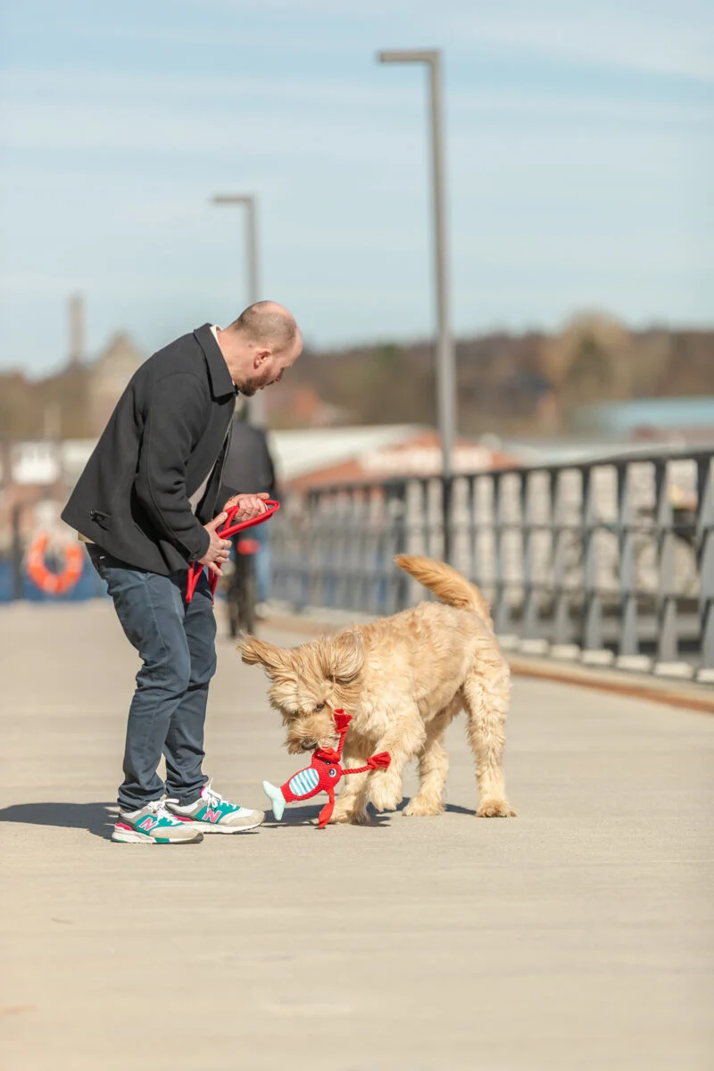 Hundespielzeug Plüsch-Hummer mit Tau und Quietscher
