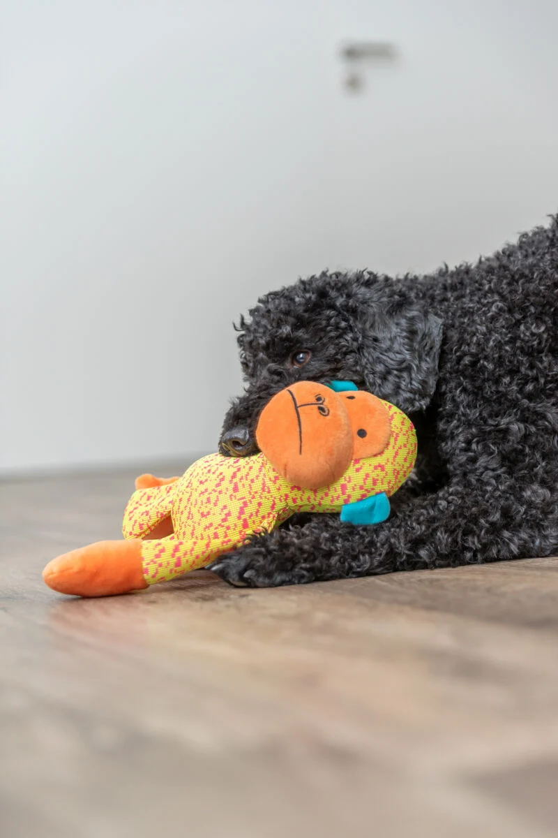 Hundespielzeug Affe aus Plüsch, geräuschlos, 27 cm
