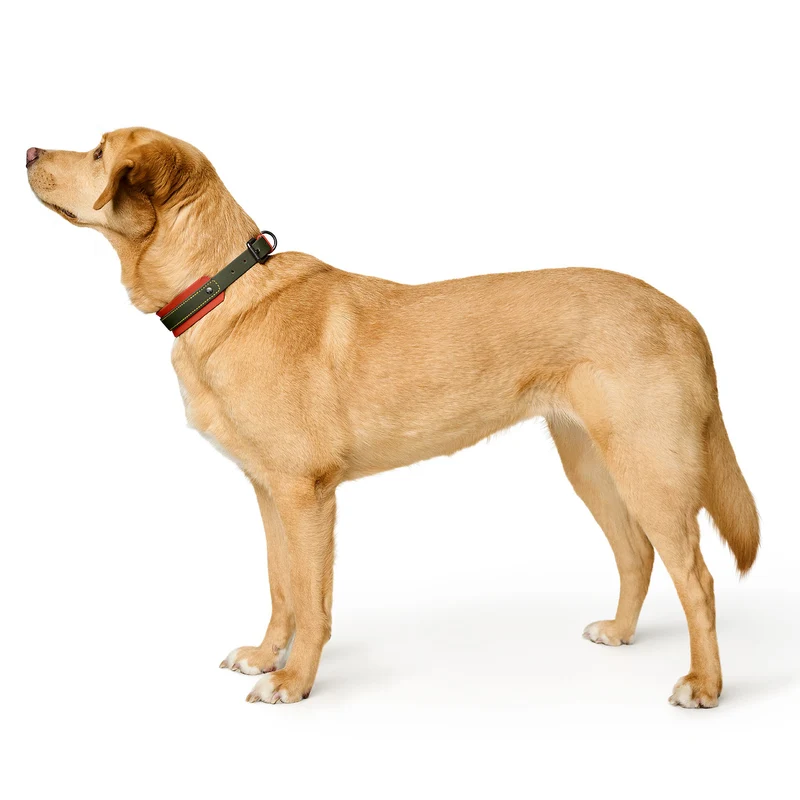 Halsband Havanna Mini
