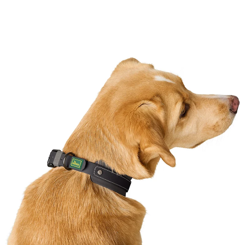Halsband Havanna Mini