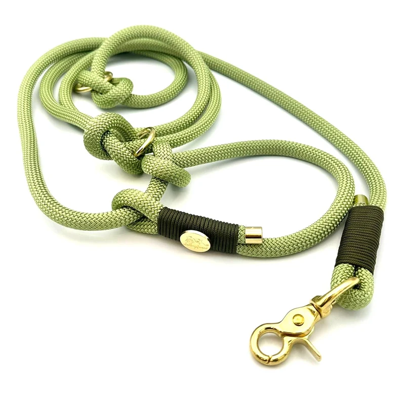 Retrieverleine Pistazie