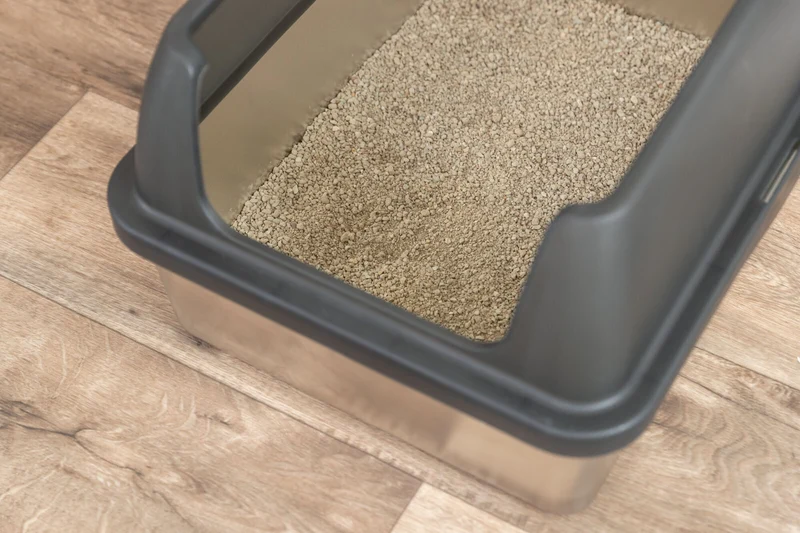 Katzentoilette Niro aus Edelstahl, offen mit hohem Rand