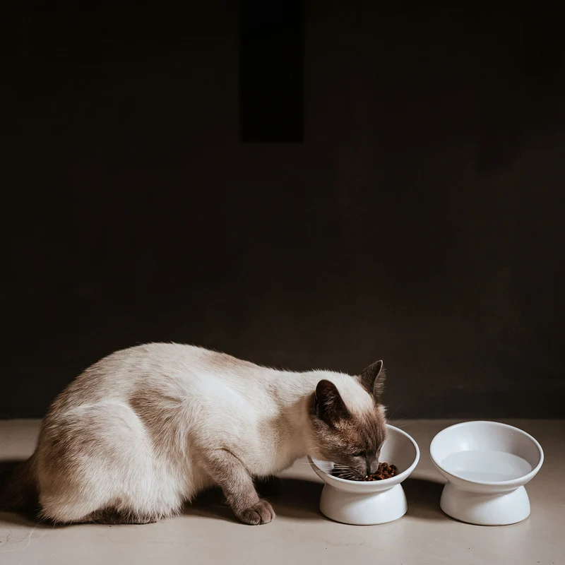 Keramik-Katzennapf Langa