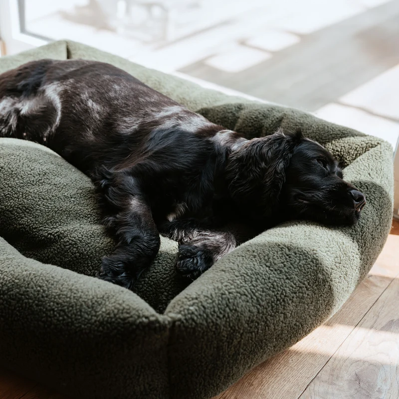 Hundesofa Kumara