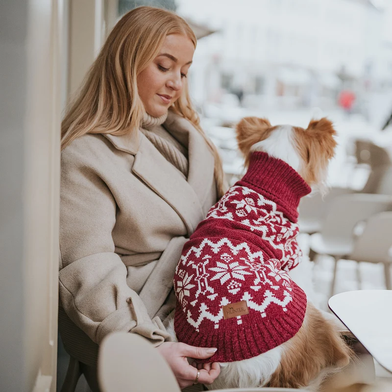 Hundepullover Birka