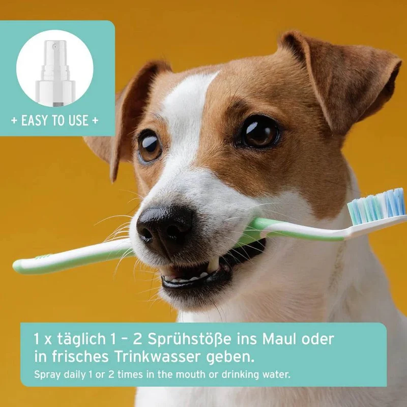 AniForte Denta Clean & Care – Zahnpflege-Spray für Hunde