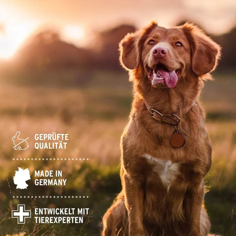 AniForte Denta Clean & Care – Zahnpflege-Spray für Hunde