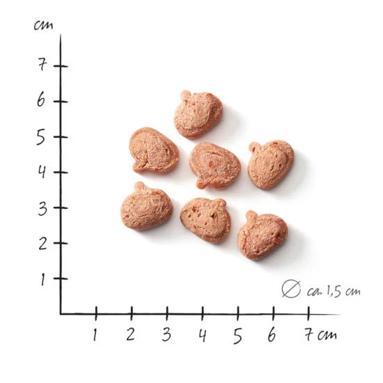 Defu vegane Hundekekse – Amaranth & Karotte