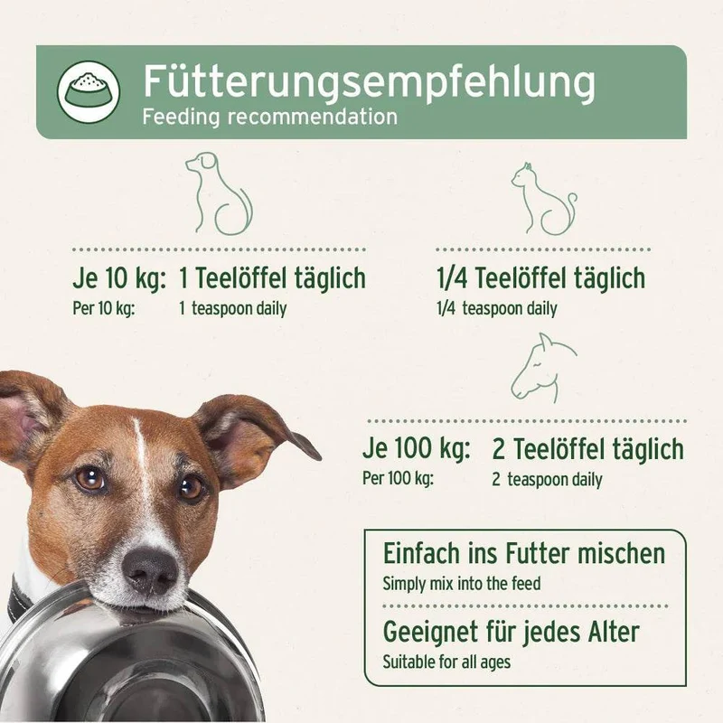 AniForte Lachsöl – Omega-3 für Hunde & Katzen