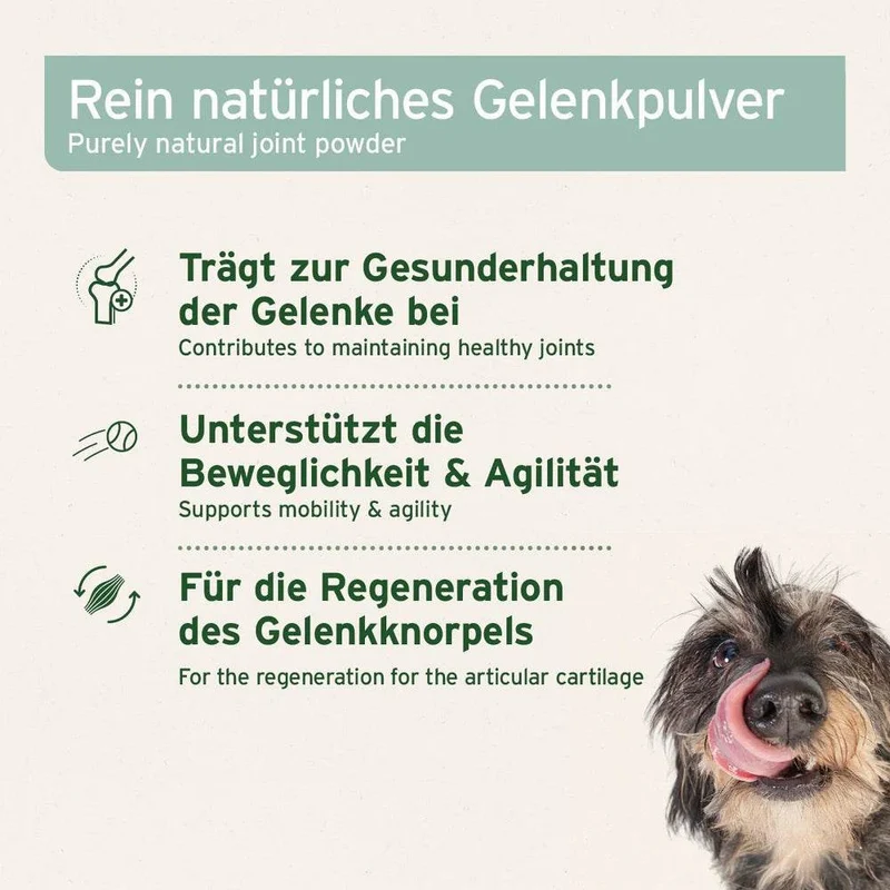 AniForte Grünlippmuschelpulver – Gelenkpflege für Hunde & Katzen