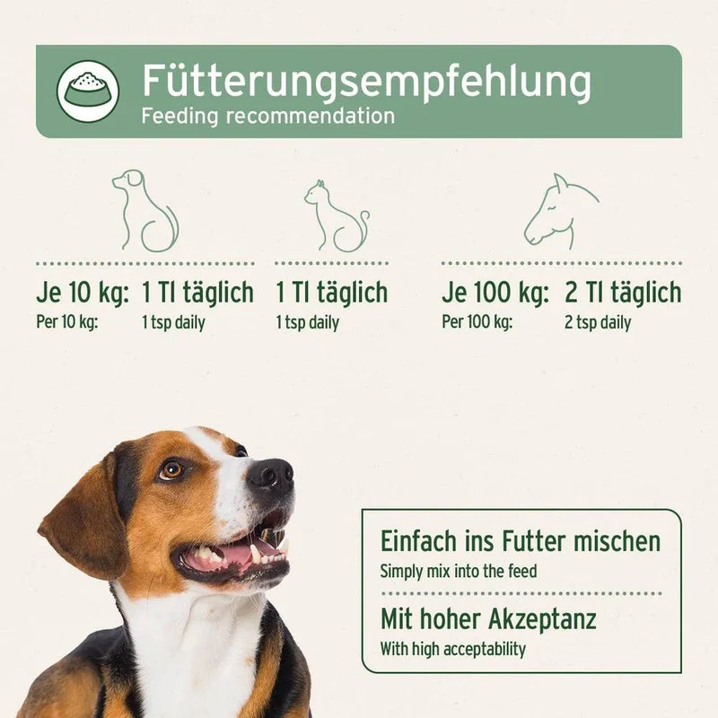 AniForte Bio Hanföl – für Hunde & Katzen