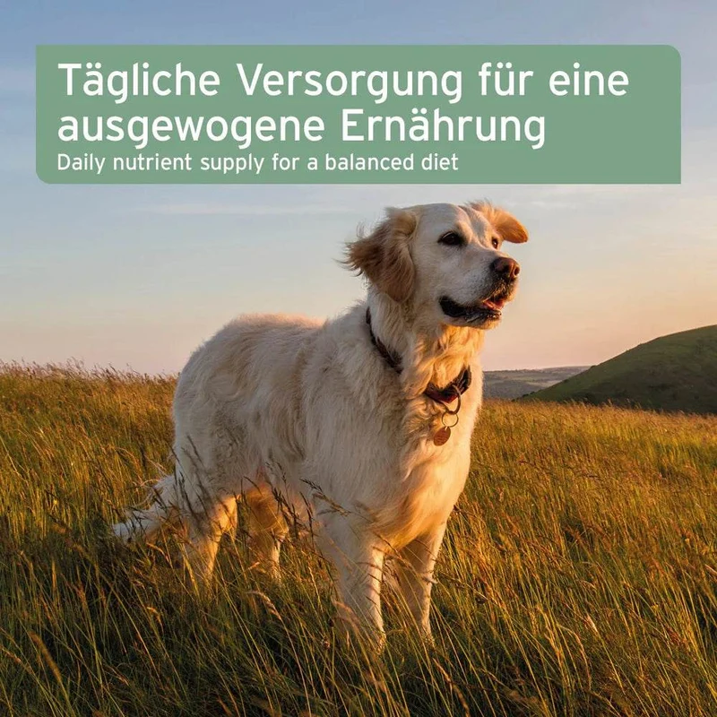 AniForte Bio Hanföl – für Hunde & Katzen