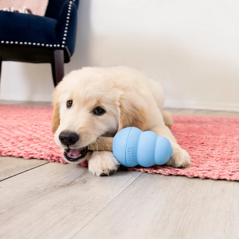 KONG Enhanced Ziggies Puppy – Kausticks für Welpen | S & M/L