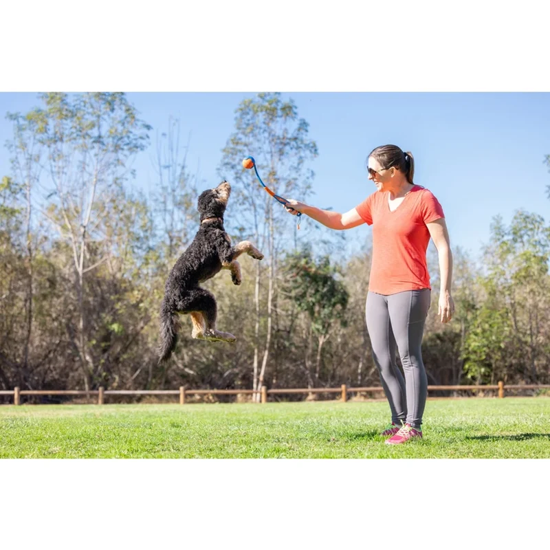 Chuckit! Fetch & Fold Launcher Original - Der ultimative Spielspaß für deinen Hund!
