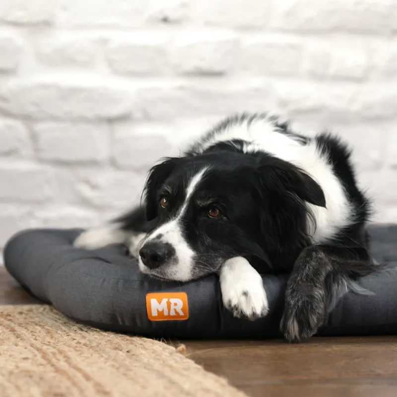 Hundekissen orthopädisch