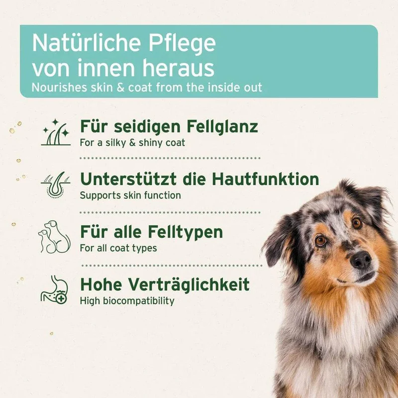 AniForte Fellharmonie Futteröl – für Haut & Fell
