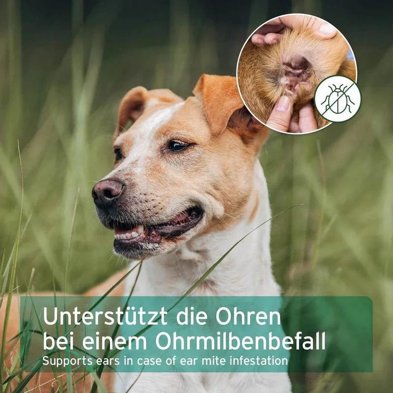 AniForte Ohrmilbenöl – Ohrpflege für Hunde & Katzen