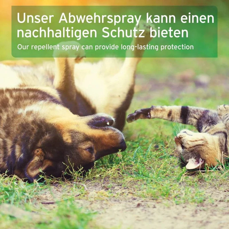 AniForte Zeckenspray – pflanzlicher Schutz für Hunde