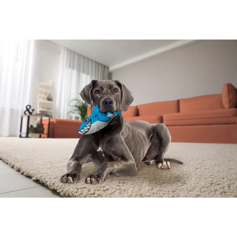 KONG MAXX Friends – Robustes Plüsch-Hundespielzeug mit Quietscher | Shark & Turtle