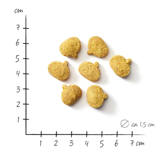 Defu Bio-Hundesnack Kartoffel & Kürbis – vegan
