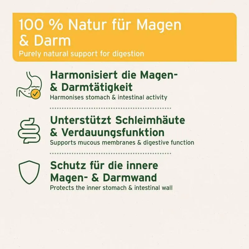 AniForte Ulmenrinde Pulver – für Hunde & Katzen