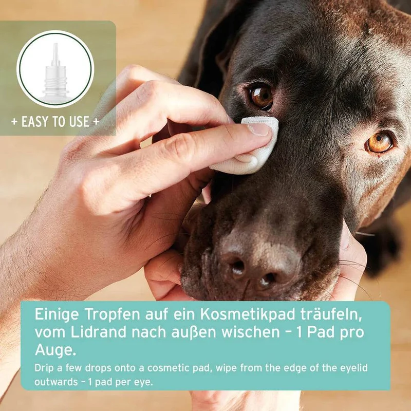 AniForte Augenpflege – für Hunde, Katzen & Kleintiere