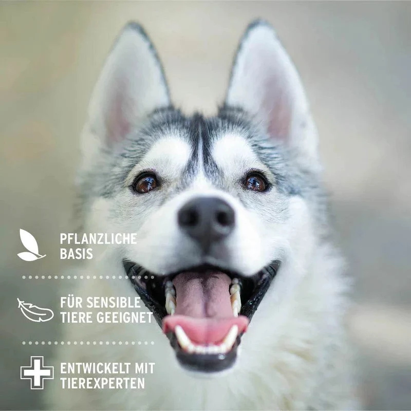 AniForte Augenpflege – für Hunde, Katzen & Kleintiere
